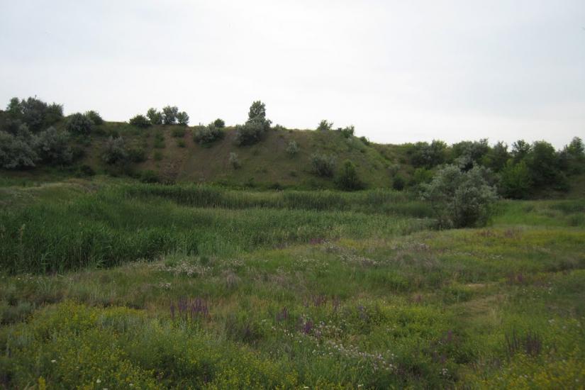 Родникове з panoramio.com - Родниково
