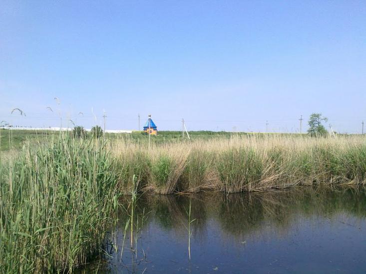 Грибівка з panoramio.com - Грибовка