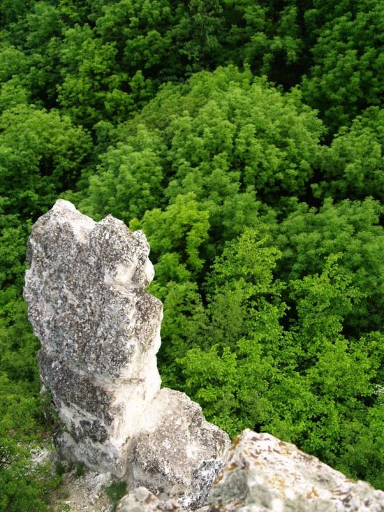 Біле з panoramio.com - Bile