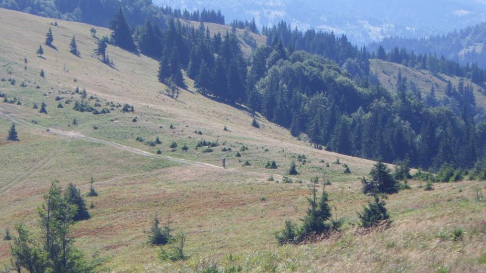 Завийка з panoramio.com - Завийка