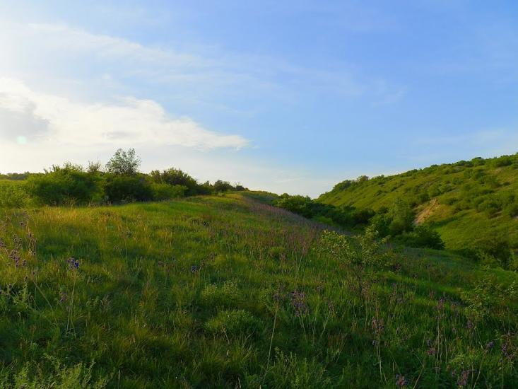 Біле з panoramio.com - Белое