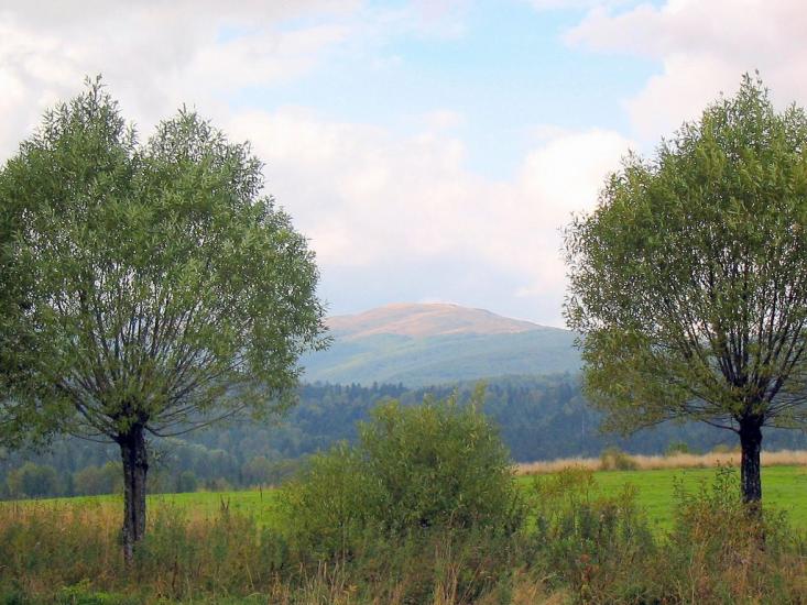 Шандровець з panoramio.com - Shandrovets