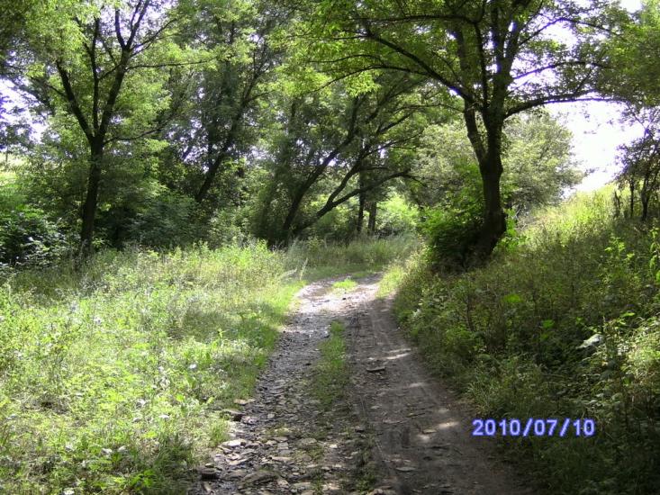 Булавинське з panoramio.com - Булавинское