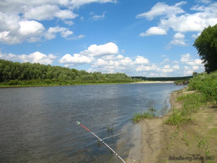 Остер з panoramio.com - Oster