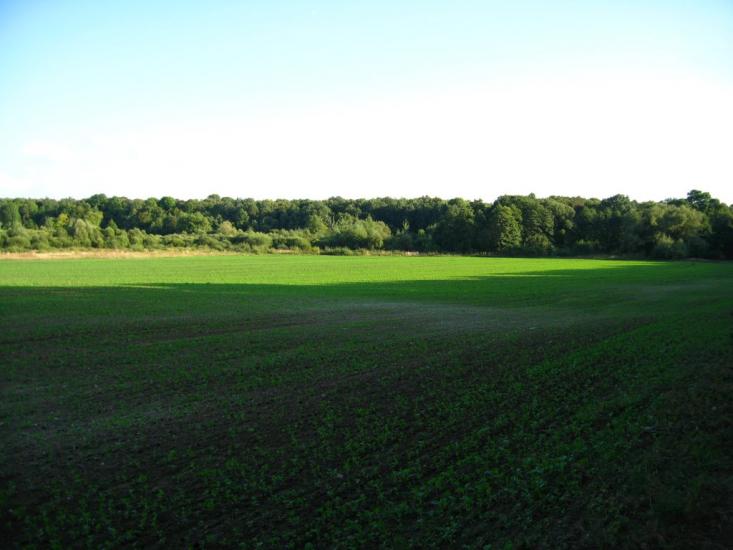 Бужок з panoramio.com - Бужок