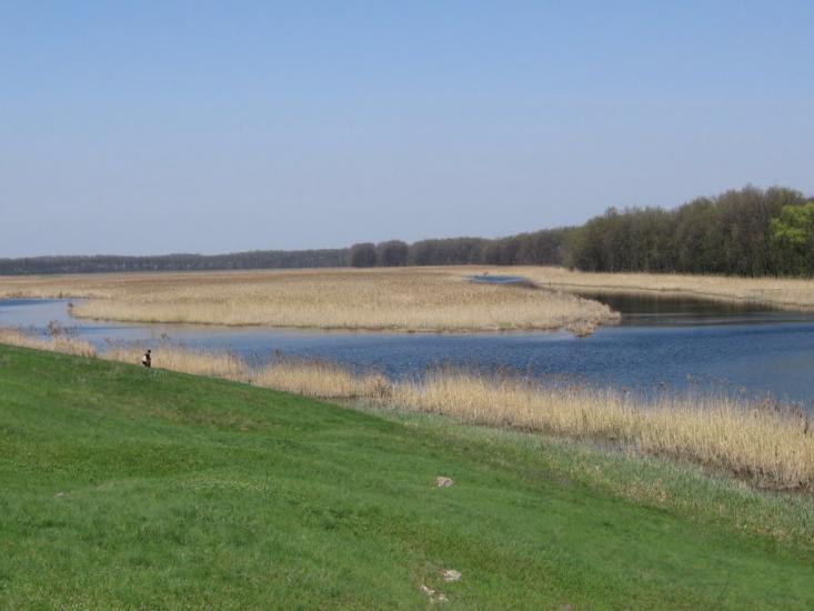 Валове з panoramio.com - Sofiyivka