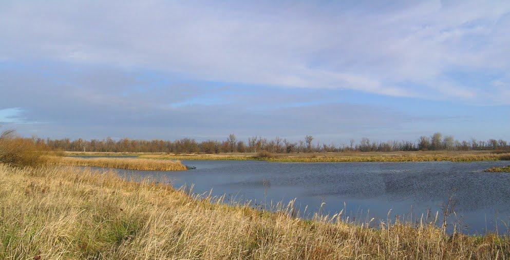 Вища Дубечня з panoramio.com - Высшая Дубечня