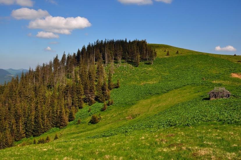 Кривопілля з panoramio.com - Кривопілля