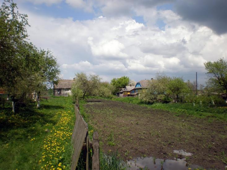 Облапи з panoramio.com - Oblapy
