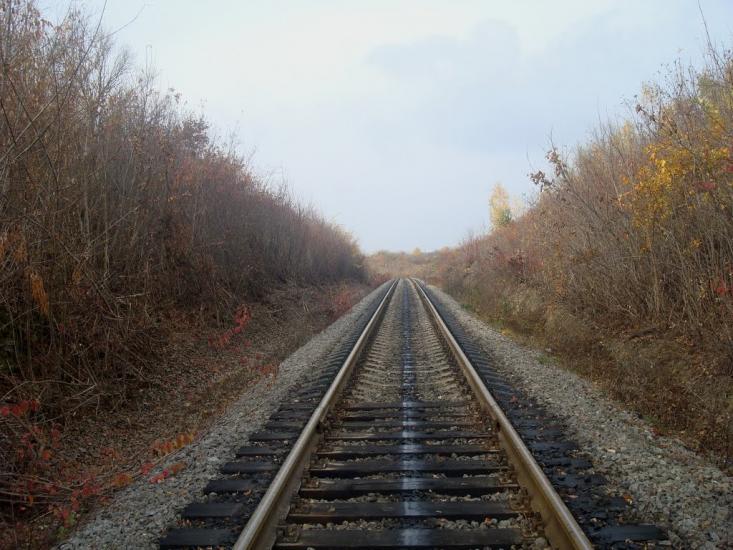 Вільхівчик з panoramio.com - Ольховчик