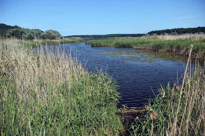 Олександро-Калинове з panoramio.com - Oleksandro-Kalynove