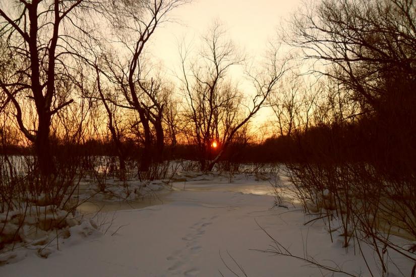 Дзержинське з panoramio.com - Дзержинське
