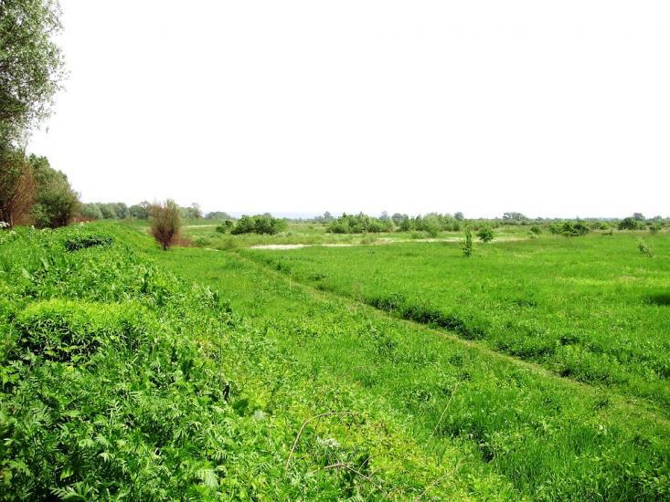 Раделичі з panoramio.com - Раделичі