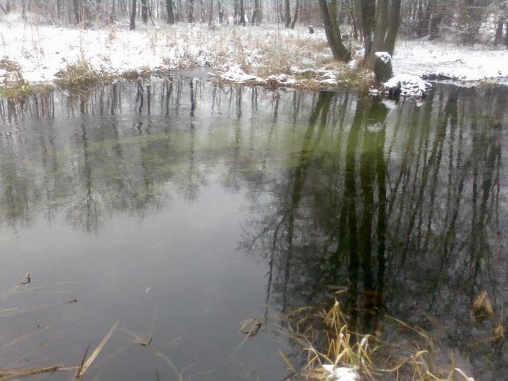 Радивилів з panoramio.com - Радивилов