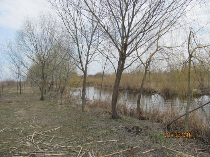 Кардашинка з panoramio.com - Кардашинка