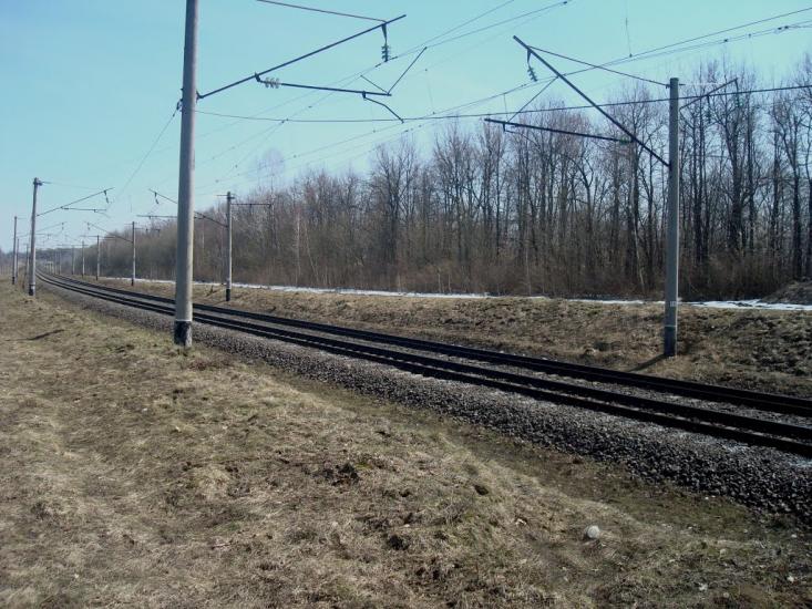 Коричинці з panoramio.com - Korychyntsi