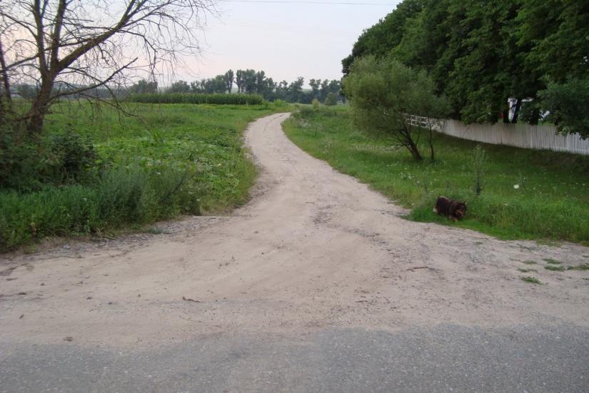 Заріччя з panoramio.com - Заріччя