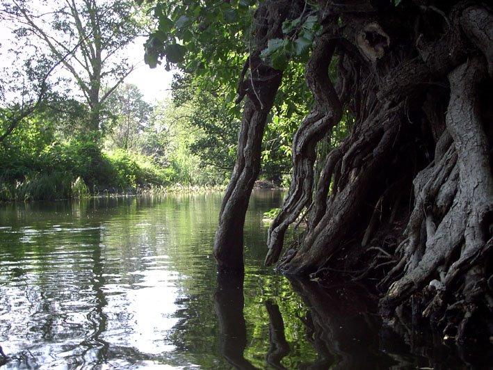 Кицівка з panoramio.com - Кицевка