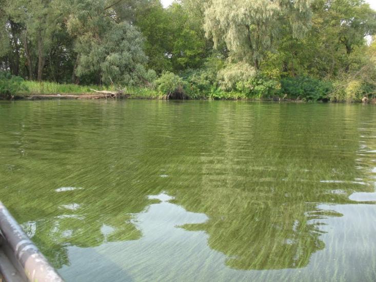 Хрещатик з panoramio.com - Крещатик