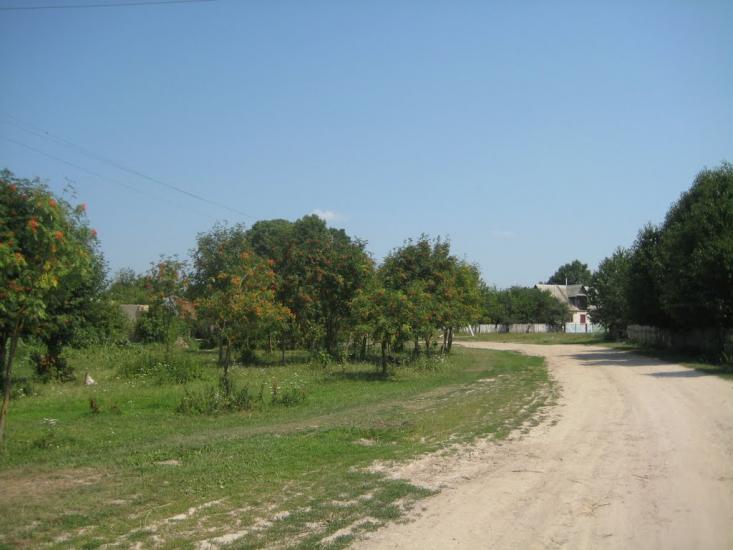 Поліське з panoramio.com - Полесское