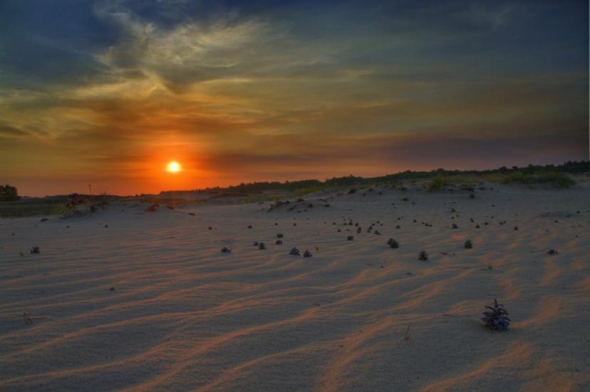 Кицівка з panoramio.com - Кицевка