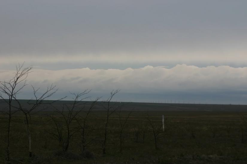 Колоски з panoramio.com - Kolosky