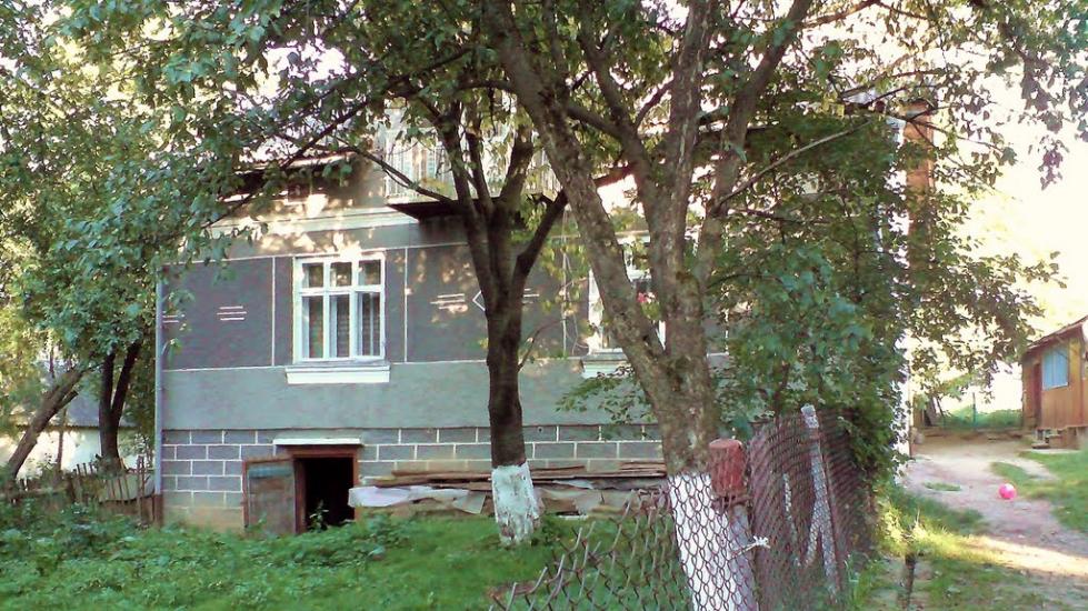 Стрілковичі з panoramio.com - Стрелковичи