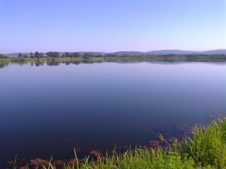Боронява з panoramio.com - Боронява