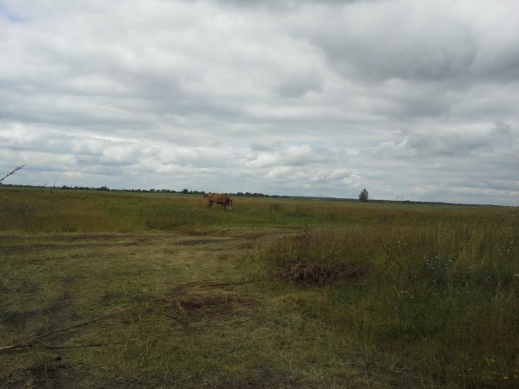 Сошники з panoramio.com - Сошники
