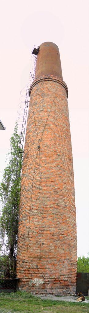 Кельменці з panoramio.com - Кельменцы
