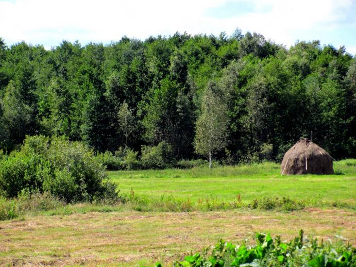 Рудка з panoramio.com - Рудка