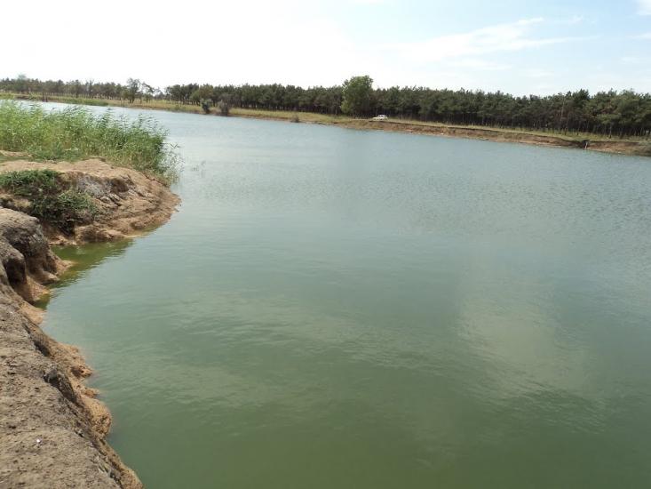 Баштанка з panoramio.com - Баштанка