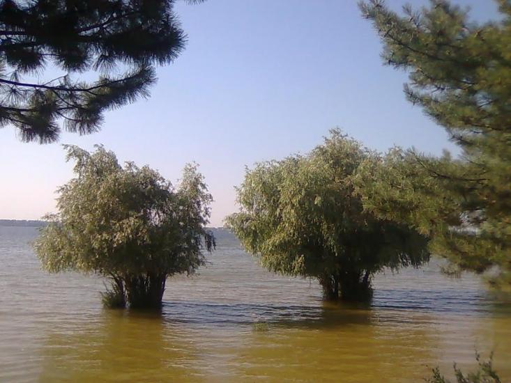Малокаховка з panoramio.com - Малокаховка