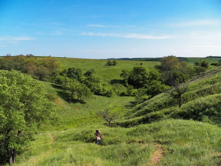 Ольховатка з panoramio.com - Olkhovatka
