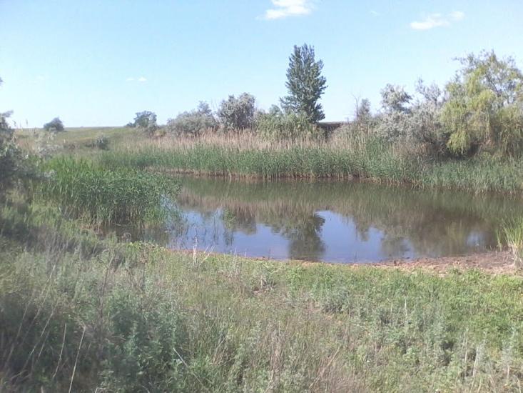 Новотимофіївка з panoramio.com - Новотимофеевка