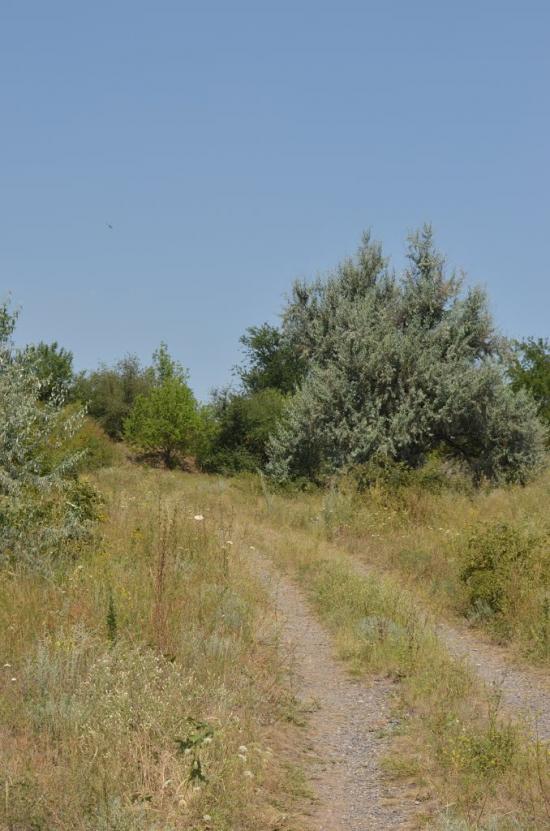 Родникове з panoramio.com - Родниково