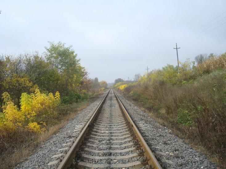 Кузьминчик з panoramio.com - Кузьминчик