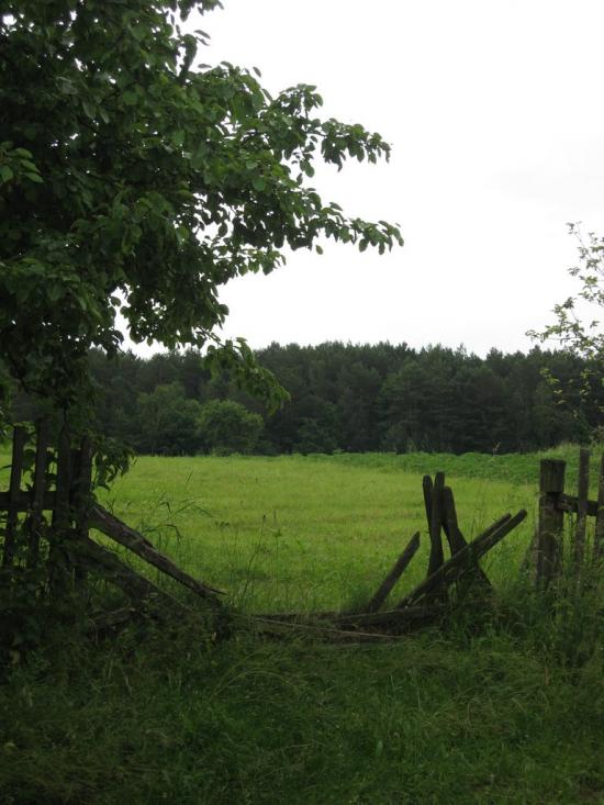 Турійськ з panoramio.com - Турийск