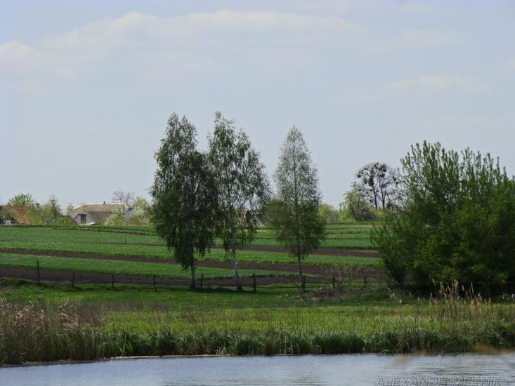 Матюші з panoramio.com - Матюши