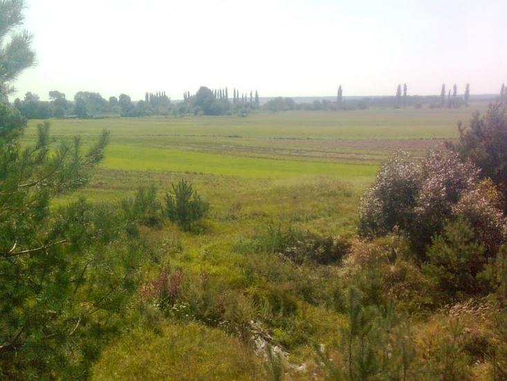 Серкізів з panoramio.com - Серкизов