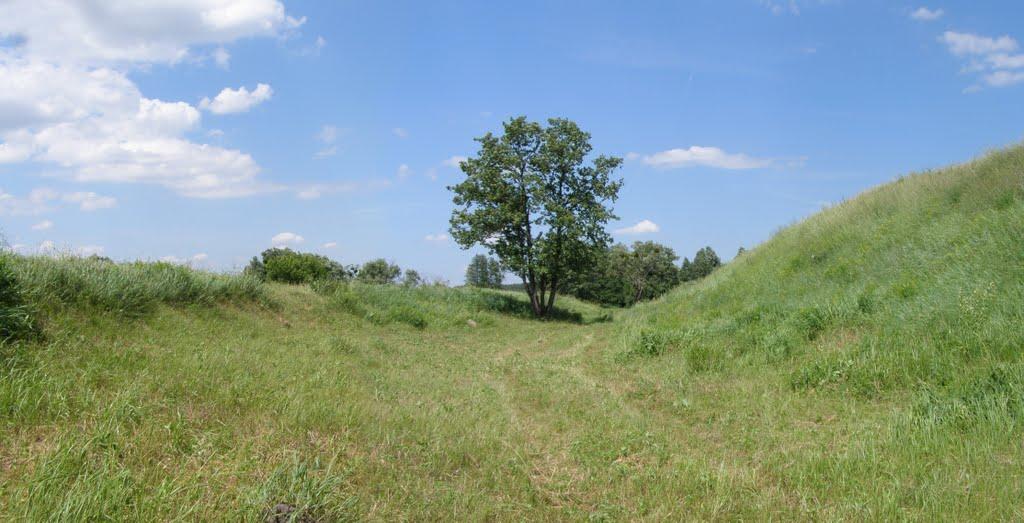 Бушеве з panoramio.com - Бушеве