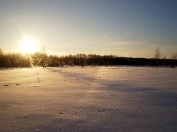 Чернявка з panoramio.com - Чернявка