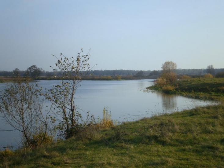 Вища Дубечня з panoramio.com - Высшая Дубечня