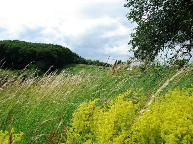 Якторів з panoramio.com - Якторів