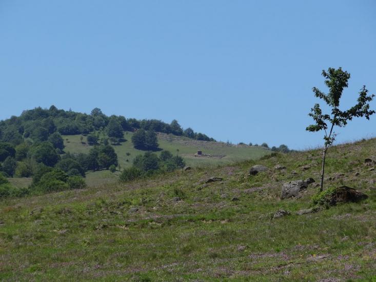 Тячів з panoramio.com - Тячів