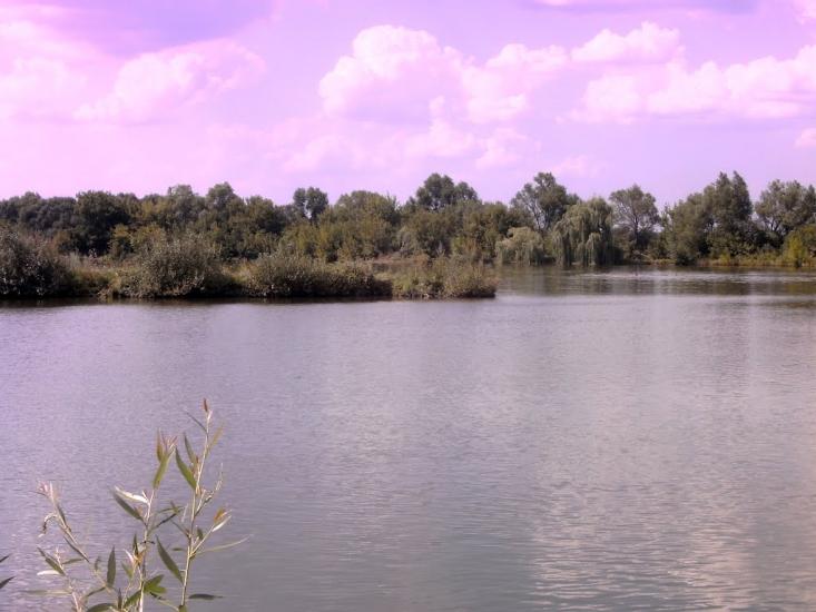 Дзюньків з panoramio.com - Дзюньків