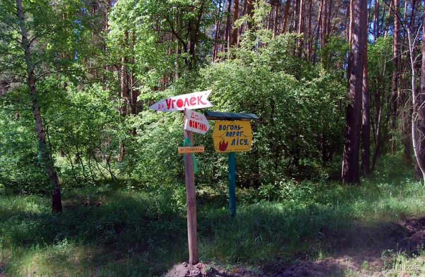 Серебрянка з panoramio.com - Serebryanka