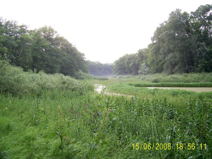 Яремівка з panoramio.com - Яремівка