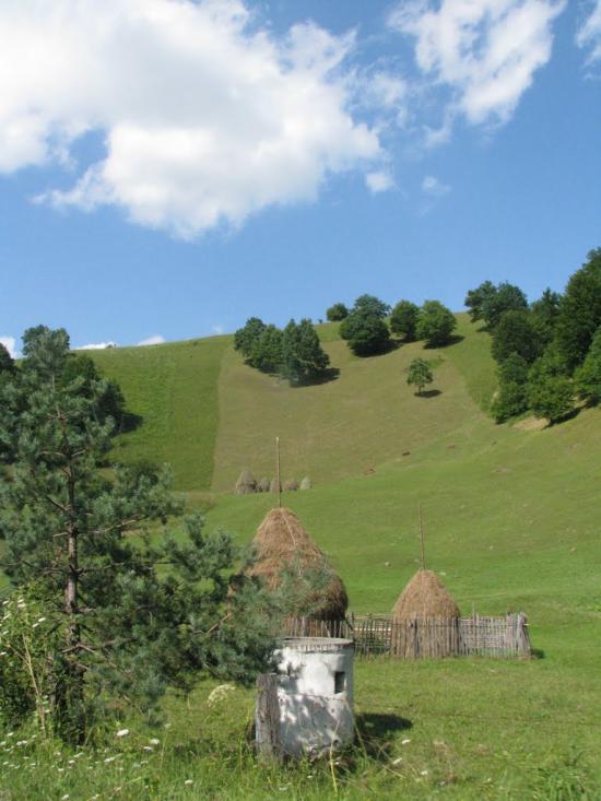 Яблунівка з panoramio.com - Яблоновка