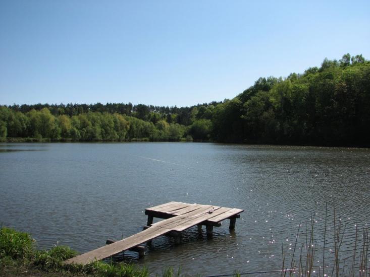 Піщатинці з panoramio.com - Пищатинцы